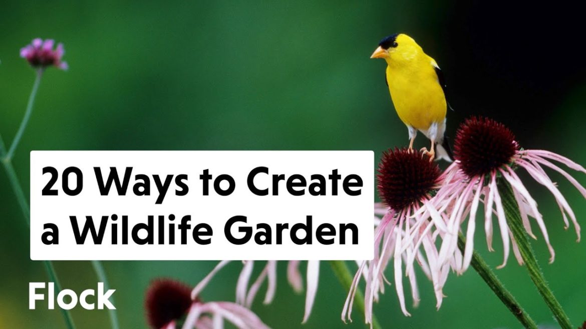20 Ways To ATTRACT WILDLIFE to Your BACKYARD GARDEN — Ep. 112 20 Ways To ATTRACT WILDLIFE to Your BACKYARD GARDEN — Ep. 112