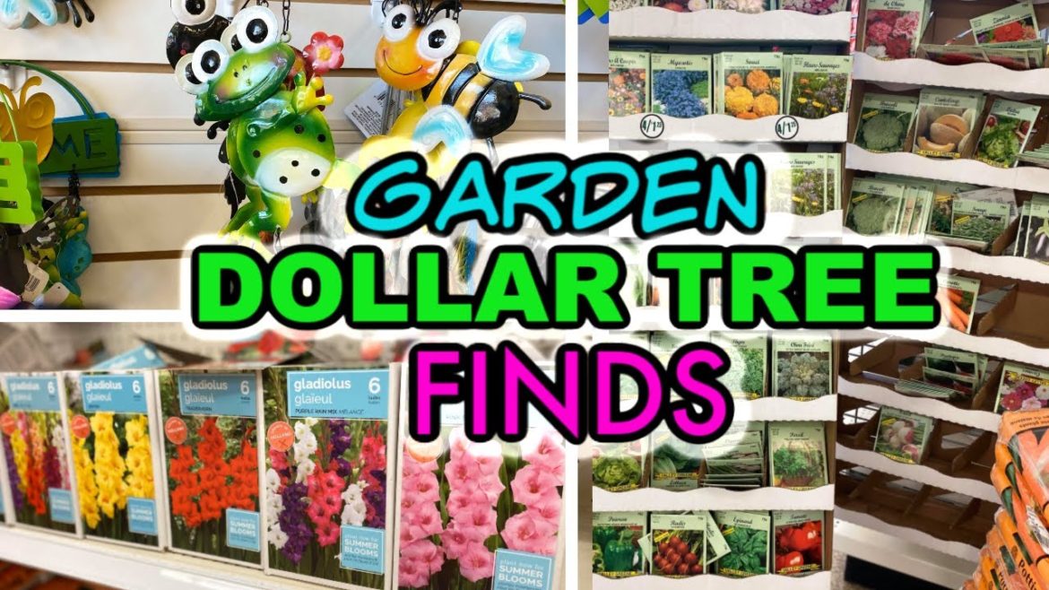 Dollar Tree Garden Haul Spring 2020 & Dollar Store Gardening Supplies