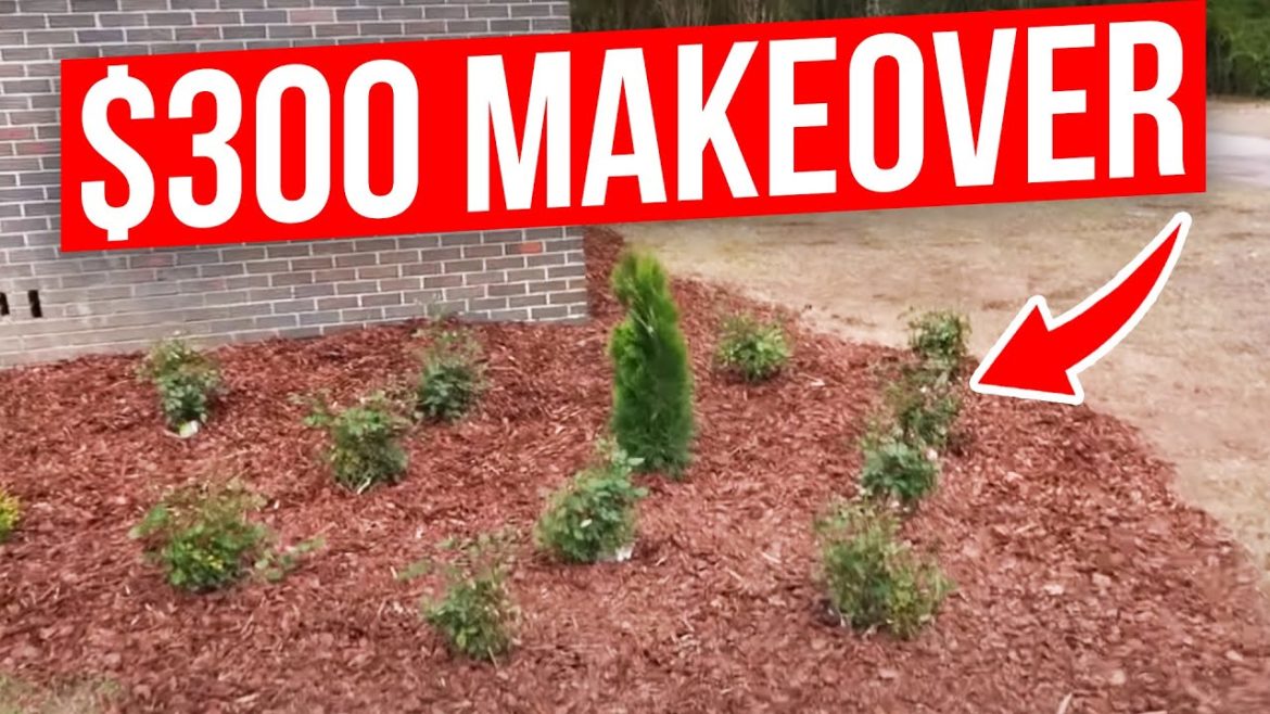 Front Yard Landscaping Project on a Budget