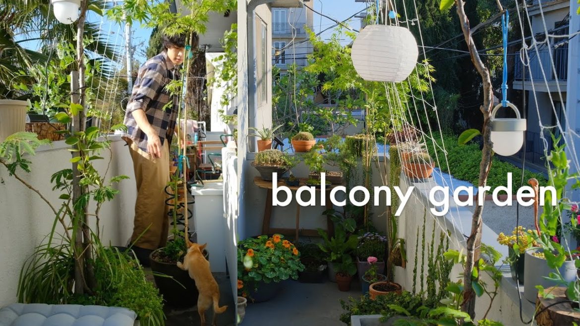 Apartment Balcony Garden | designing with plants Apartment Balcony Garden | designing with plants