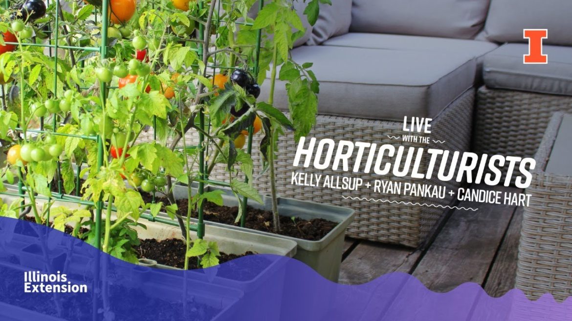 Garden Trends 2021 - LIVE with the Horticulturists