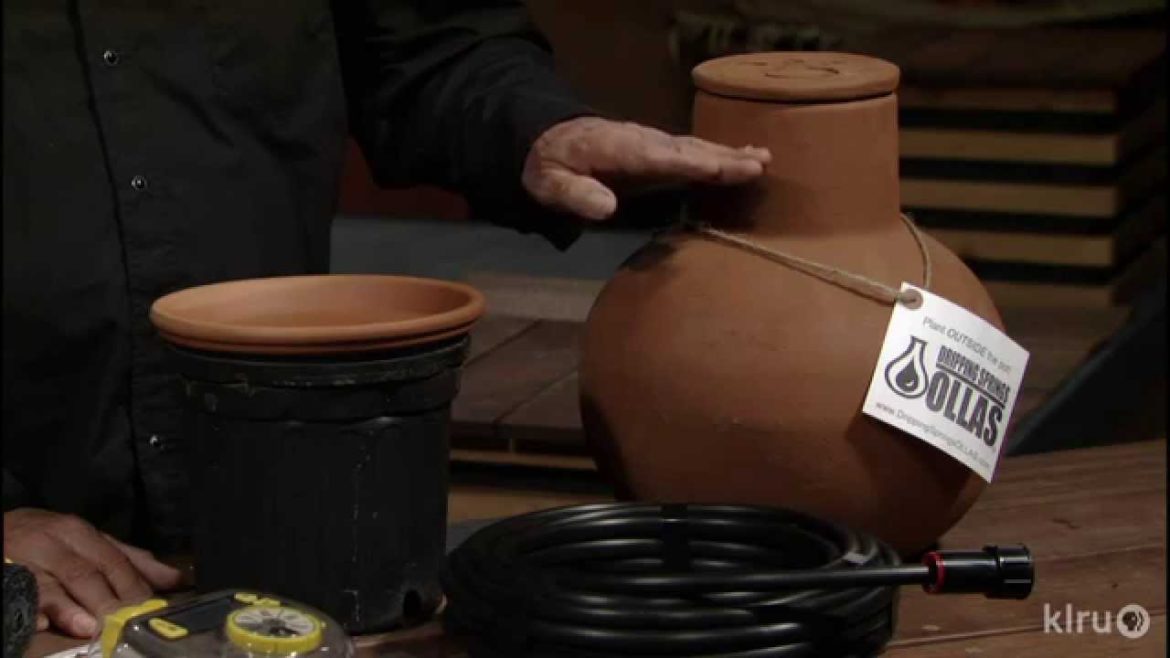 Water efficient tips |John Dromgoole |Central Texas Gardener