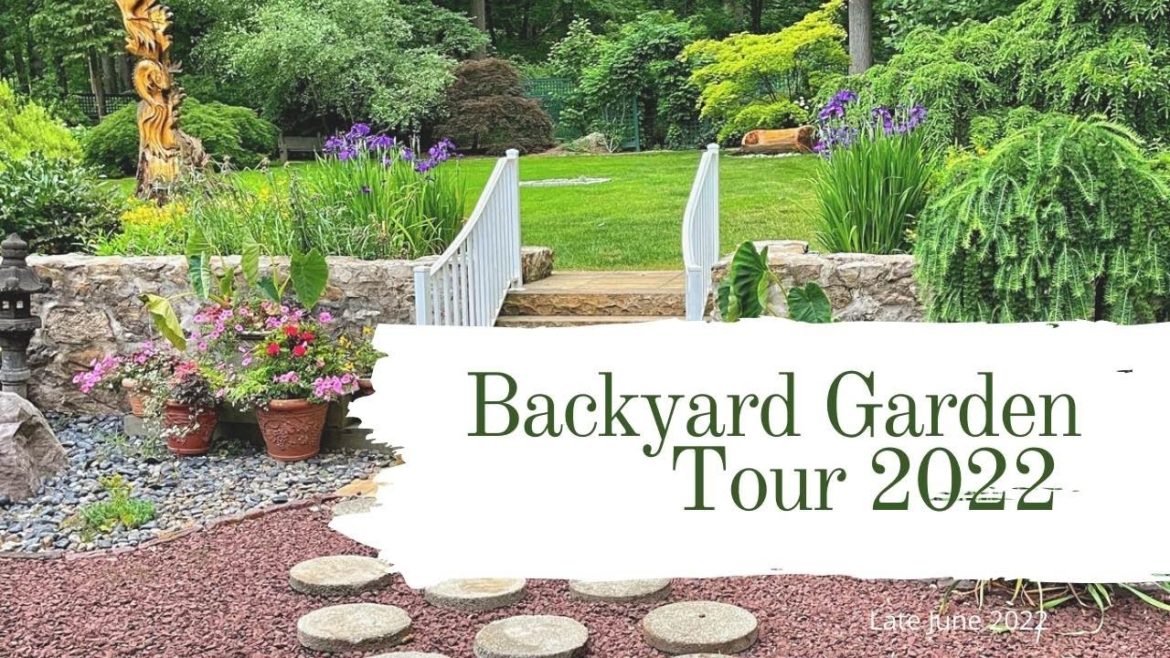 BACKYARD GARDEN TOUR 2022 (June) // Bricks 'n Blooms BACKYARD GARDEN TOUR 2022 (June) // Bricks 'n Blooms