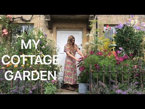 My Doorstep Container Cutting Garden as seen recently on Gardeners World, UK My Doorstep Container Cutting Garden as seen recently on Gardeners World, UK