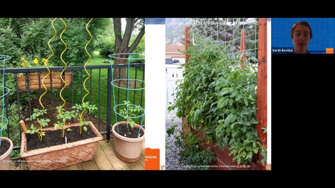Edible Gardening: Trellises (webinar series)