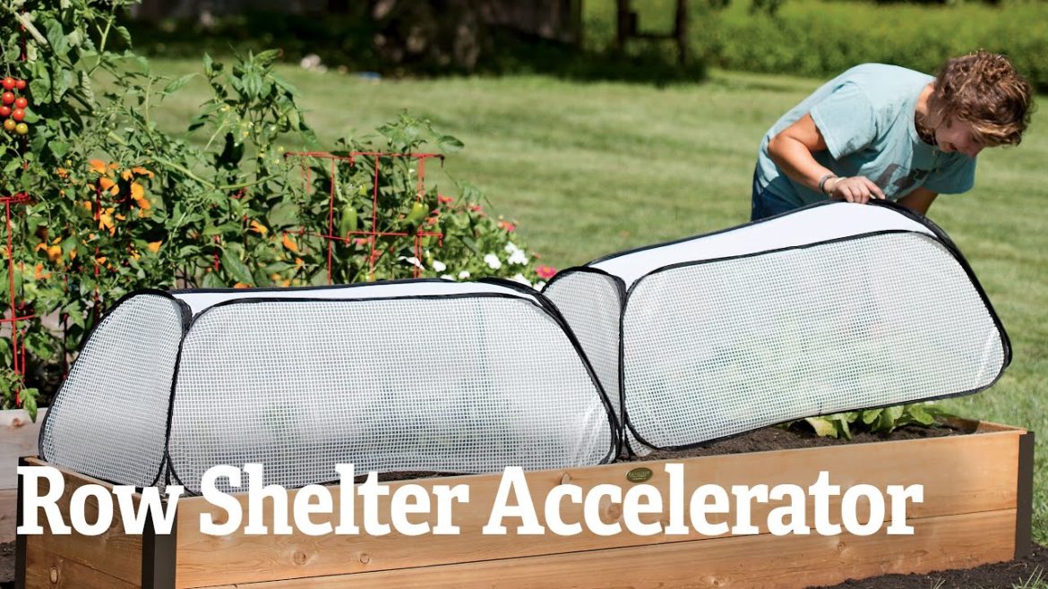 A Closer Look at the Row Shelter Accelerator | Gardener's Supply A Closer Look at the Row Shelter Accelerator | Gardener's Supply