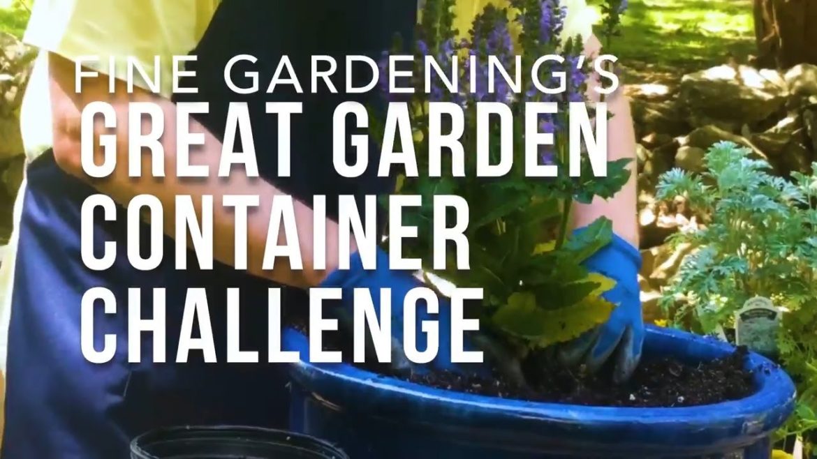 Fine Gardening's Great Garden Container Challenge! #containergardening #containerdesigns #contest Fine Gardening's Great Garden Container Challenge! #containergardening #containerdesigns #contest