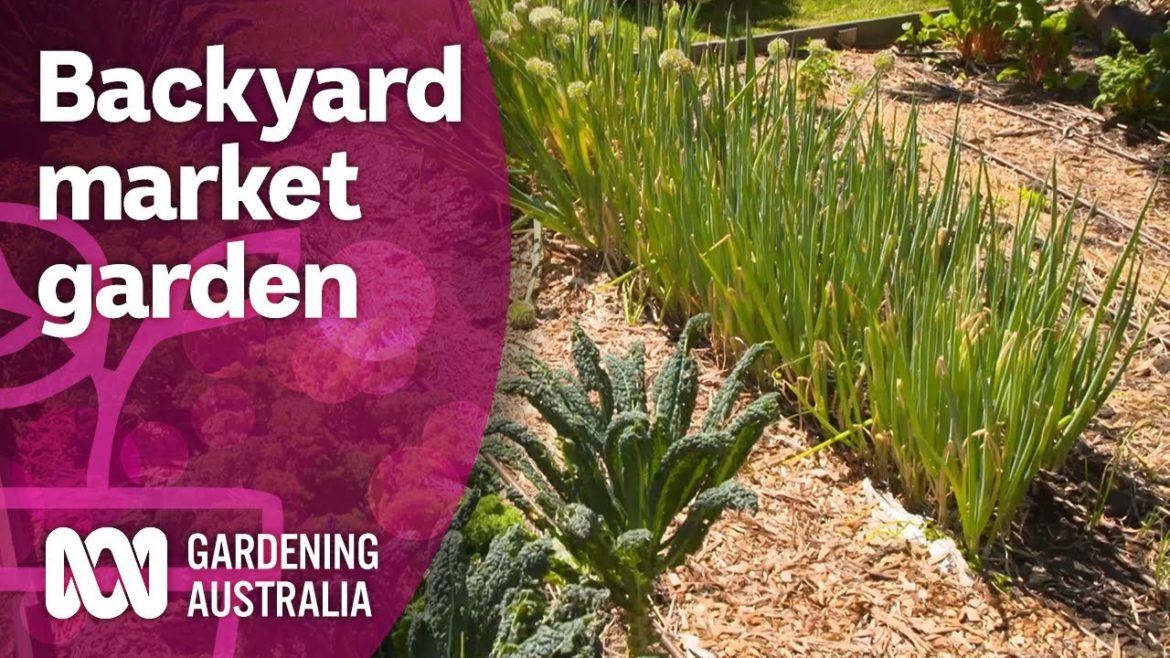 Designing a backyard market garden to feed the local community | Discovery | Gardening Australia