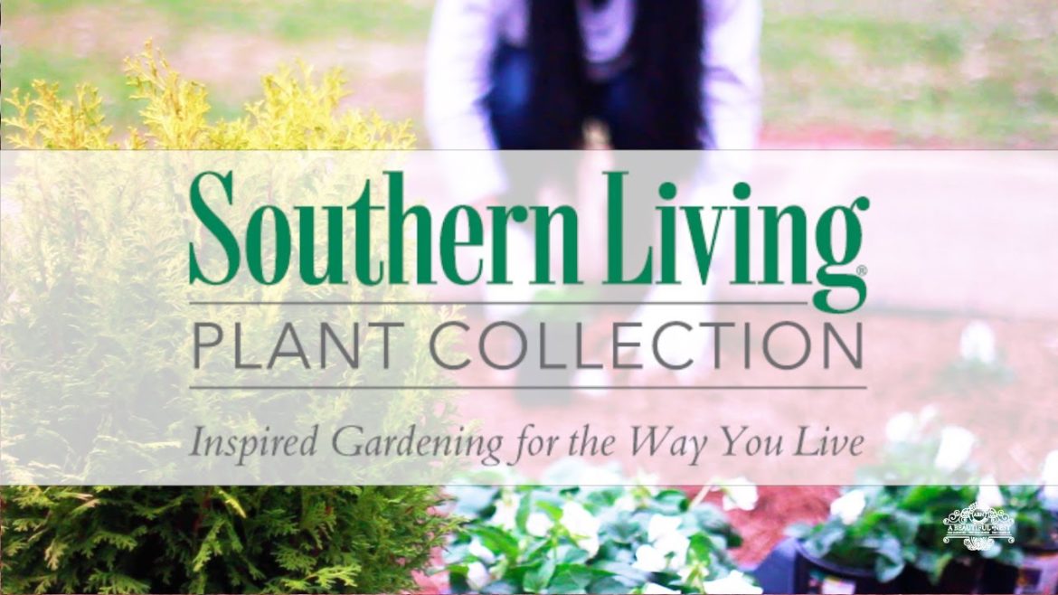FRONT YARD GARDEN REDESIGN W/ SOUTHERN LIVING PLANTS / A BEAUTIFUL NEST TV FRONT YARD GARDEN REDESIGN W/ SOUTHERN LIVING PLANTS / A BEAUTIFUL NEST TV