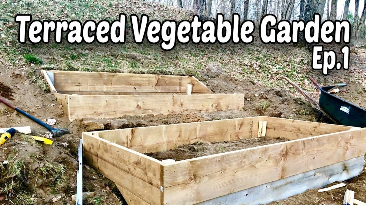 How to Make Terraced Raised Beds for Vegetable Gardening - E.1