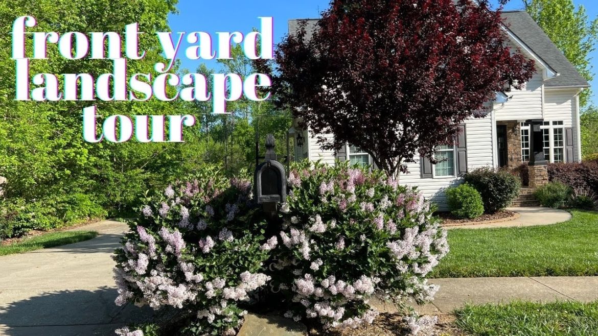 Front Yard Landscape Tour