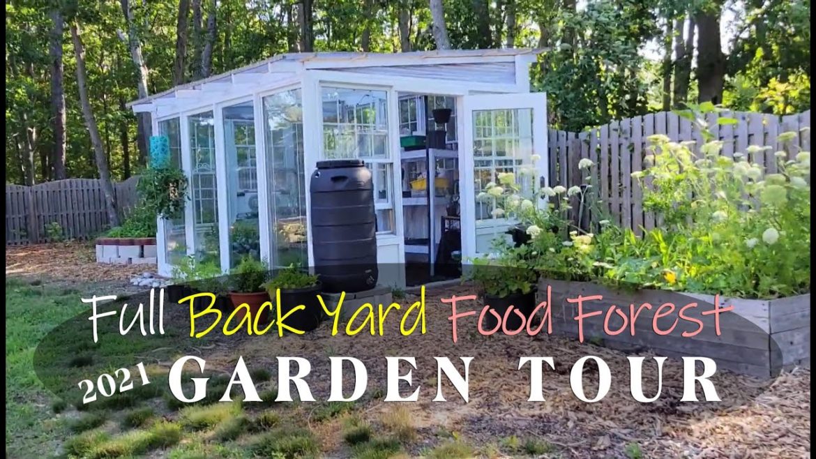Food Forest 2021 Backyard Garden Tour