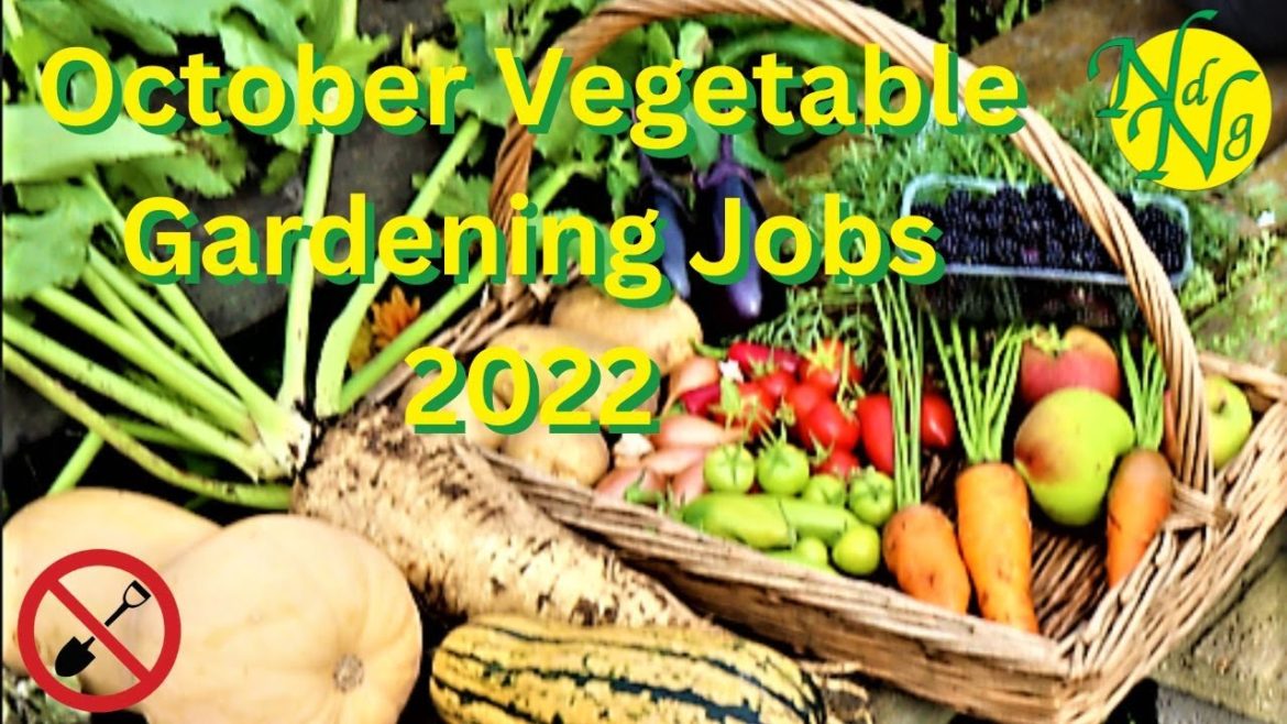 October Vegetable Gardening Jobs 2022 October Vegetable Gardening Jobs 2022