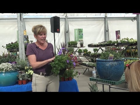 Advanced Container Gardening Class Advanced Container Gardening Class