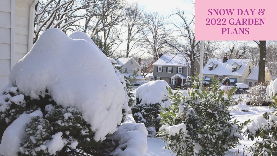 New Jersey Winter Garden Plans ❄️ Broadway Gardener New Jersey Winter Garden Plans ❄️ Broadway Gardener