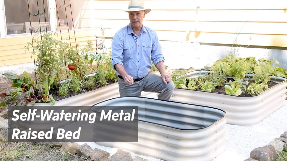 Grow Vegetables With Self-Watering Metal Raised Beds