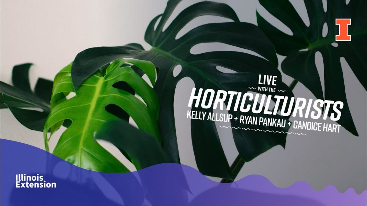 Let's Talk 2022 Garden Trends LIVE with the Horticulturists Let's Talk 2022 Garden Trends LIVE with the Horticulturists