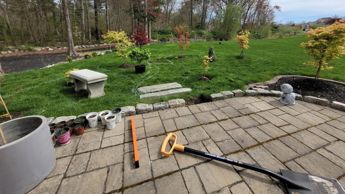 Garden Plans for 2022. Landscaping and Hardscaping. Japanese Maple Garden, Adding A Border & Trees. Garden Plans for 2022. Landscaping and Hardscaping. Japanese Maple Garden, Adding A Border & Trees.