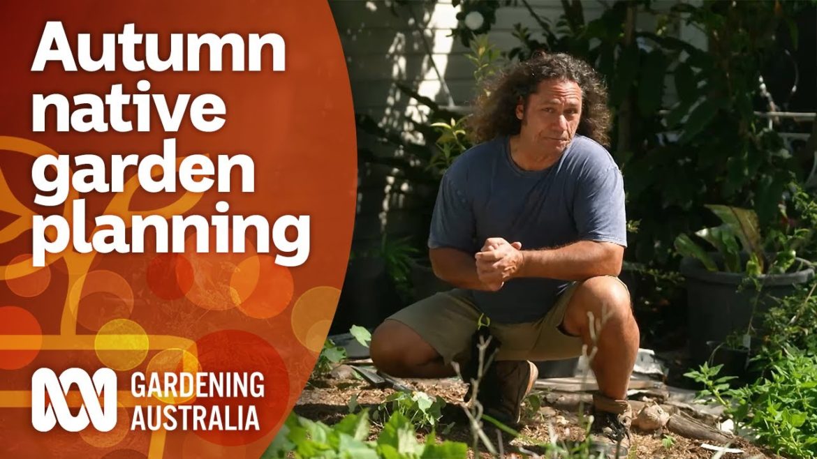 How to make an Autumn Australian native garden | Garden Design and Inspiration | Gardening Australia