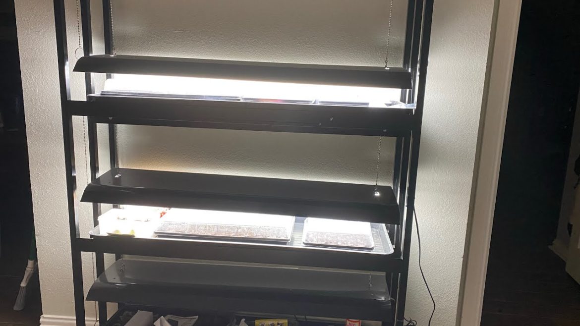 Installation & Review Gardeners Supply 3 Tier growlight sun light