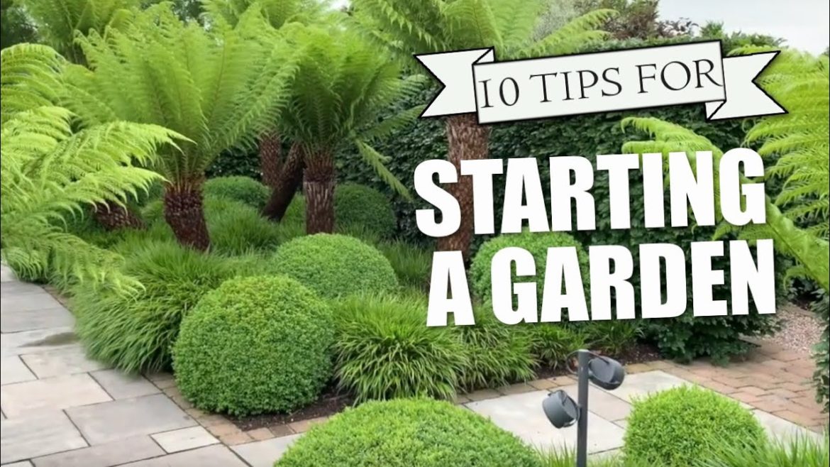 10 tips for a beginner gardener