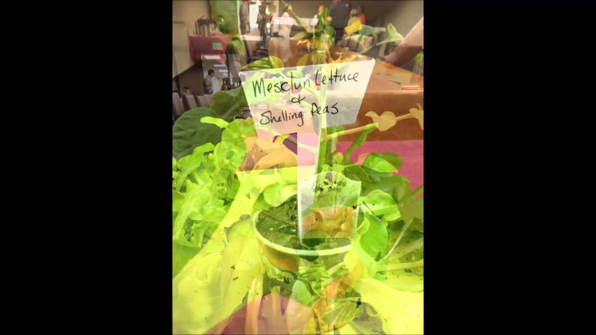 Edible Gardening From Your Patio, Deck or Balcony with Luan Akin