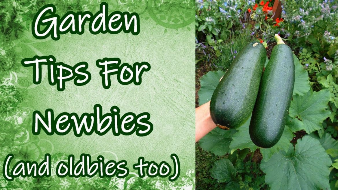 Garden Tips for Newbies (and Oldbies Too)