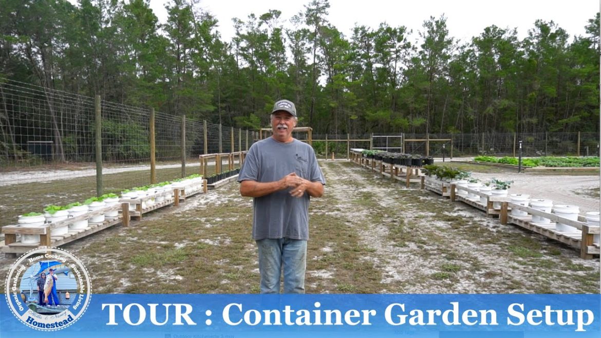 TOUR : Container Garden Setup