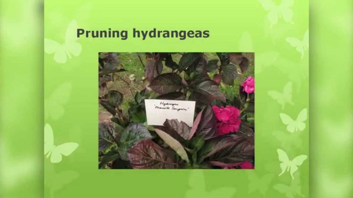 OSU Master Gardener: Spring Gardening Tips OSU Master Gardener: Spring Gardening Tips