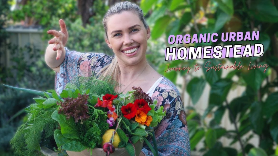 Organic Edible Garden Tour // Self Sufficient Living Australia // My Urban Permaculture Garden
