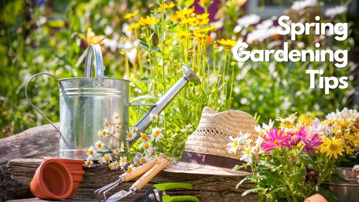 Spring Gardening Tips Spring Gardening Tips