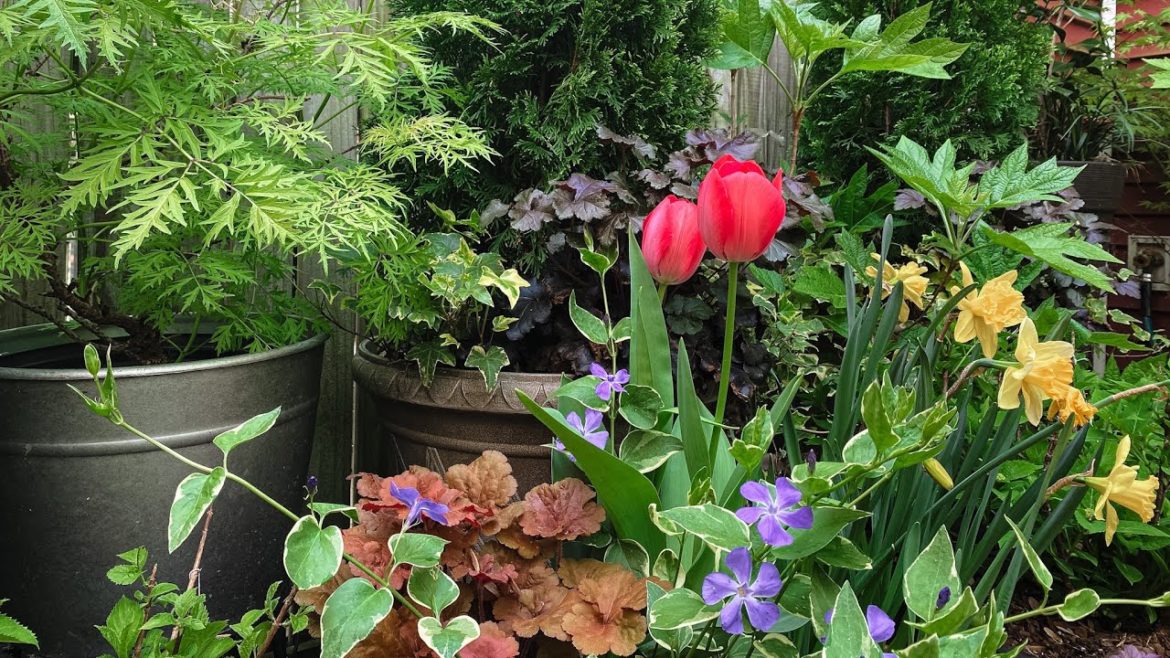 April Secret Garden Tour 2021 – Backyard Garden April Secret Garden Tour 2021 - Backyard Garden