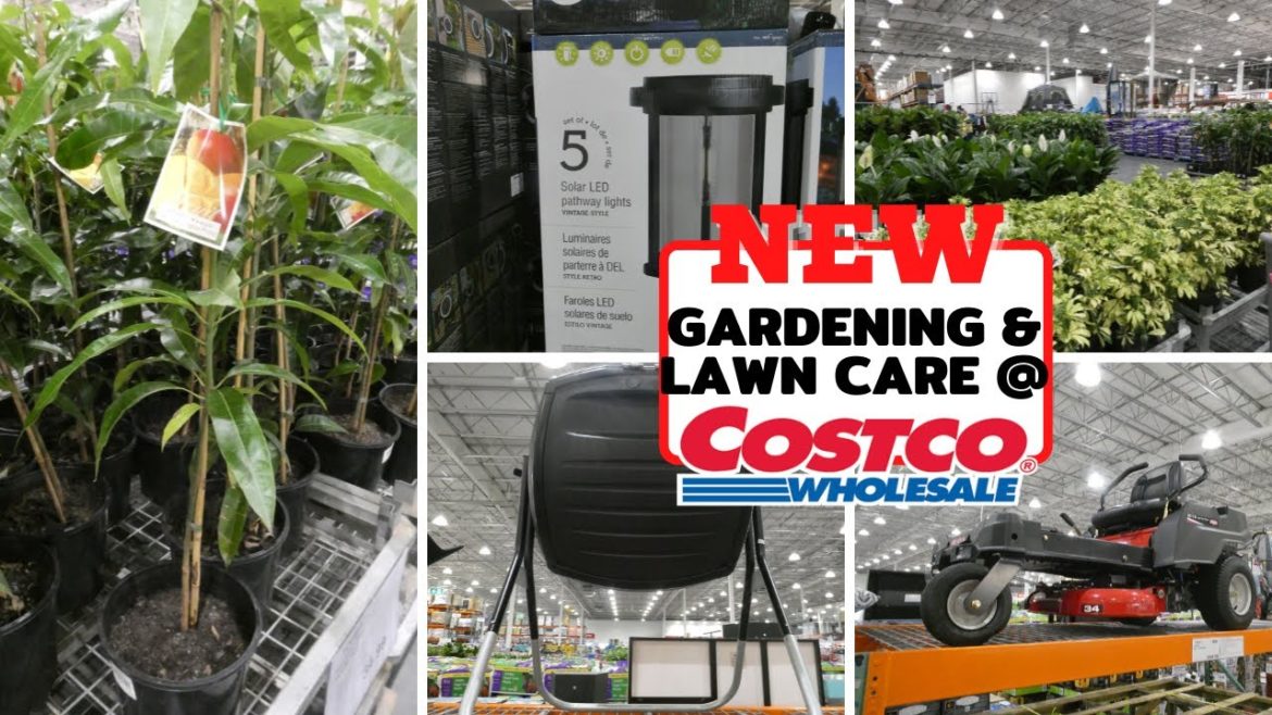 All The NEW Gardening & Lawn Care At Costco!!! | Plants | Outdoor Lighting | Mowers | Soil & More!!!