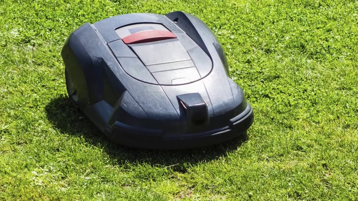 Gardening Trends in the UK and Beyond Gardening Trends in the UK and Beyond