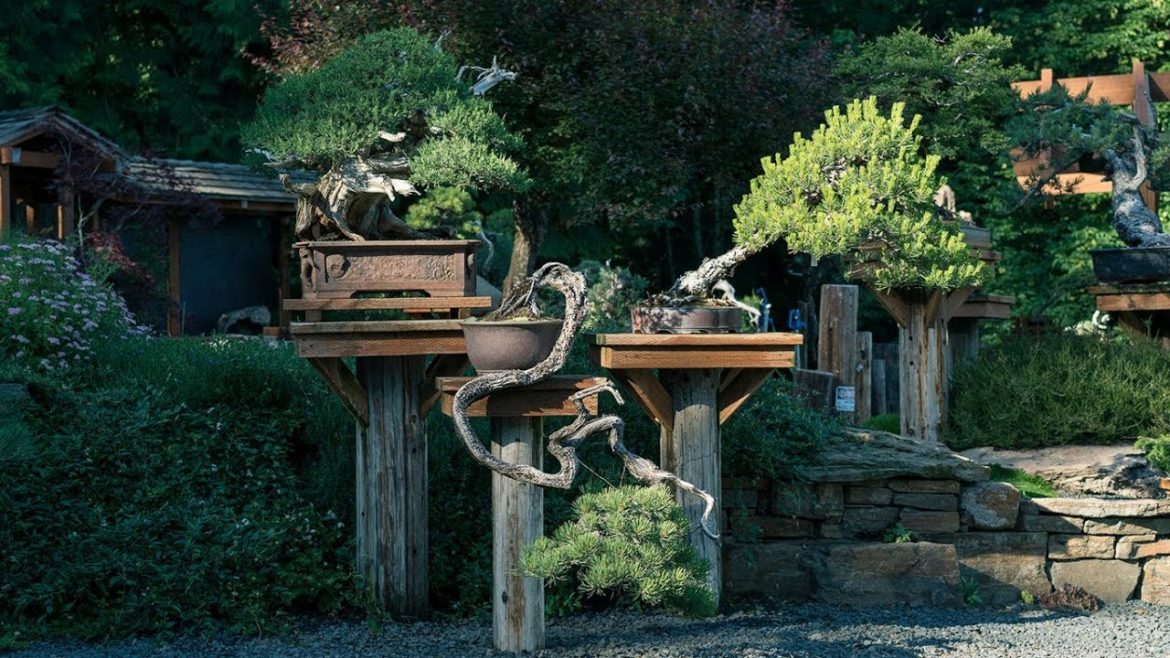 Garden Design Garden Design