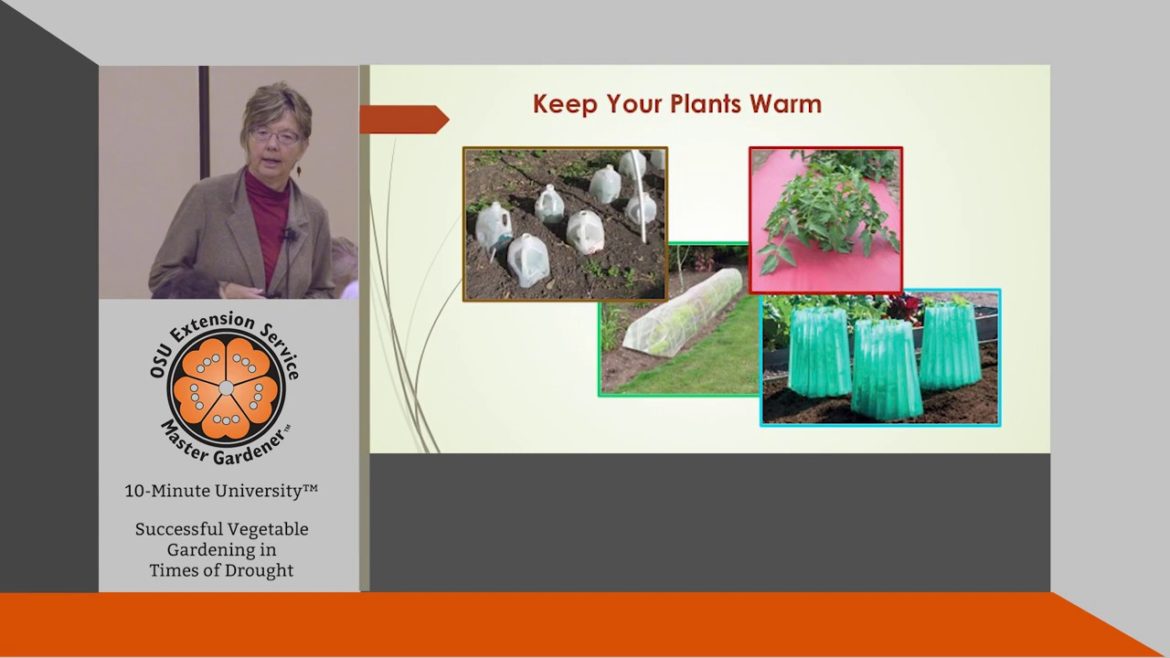 Vegetable Gardening in Times of Drought Vegetable Gardening in Times of Drought