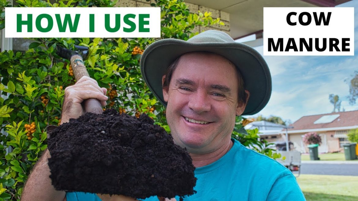 HOW I USE COW MANURE QUICK GARDEN TIPS HOW I USE COW MANURE QUICK GARDEN TIPS