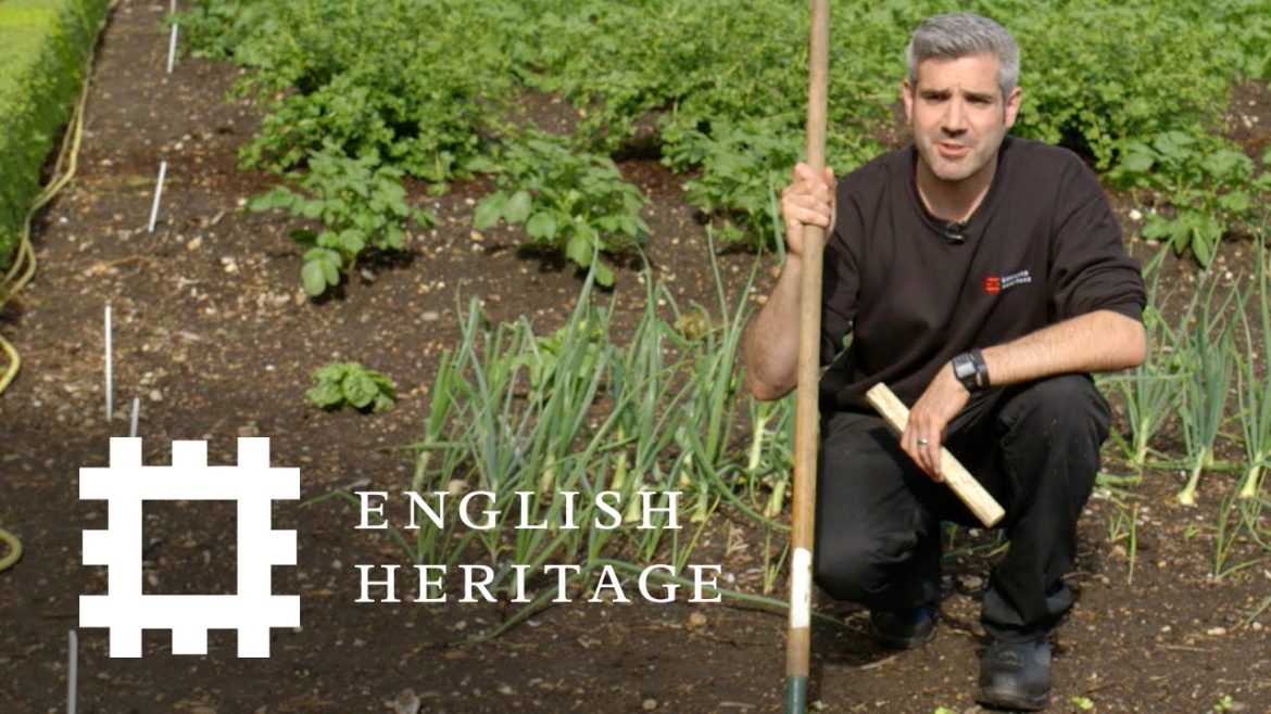 Planting Tips from the Head Gardener at Charles Darwin's Down House Planting Tips from the Head Gardener at Charles Darwin's Down House
