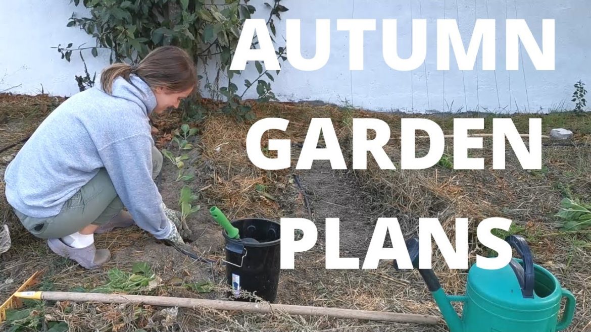 New Planting Season | Autumn Garden Plans