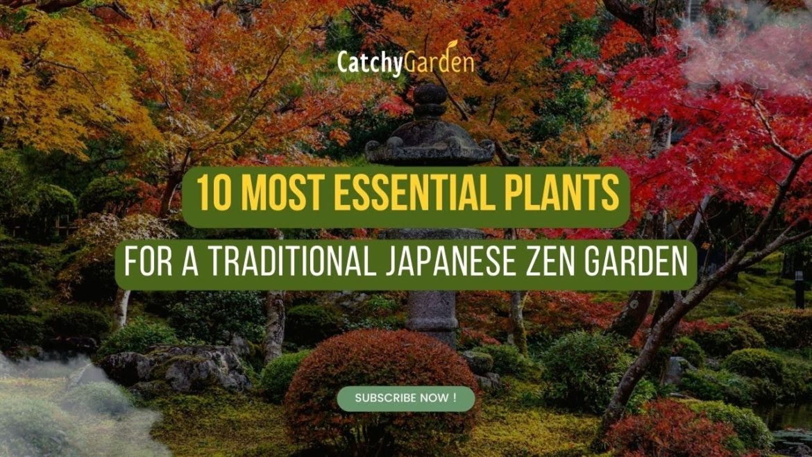 10 Most Essential Plants for a Traditional Japanese Zen Garden πΈππΊ 10 Most Essential Plants for a Traditional Japanese Zen Garden πΈππΊ