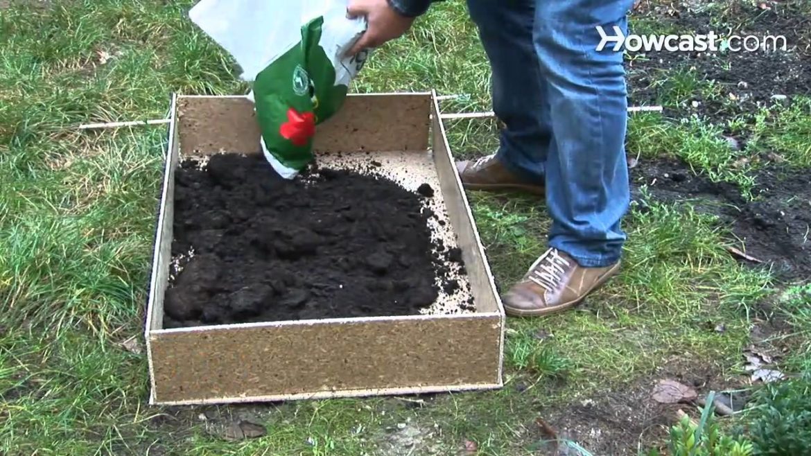 How to Buy Square Foot Gardening Supplies