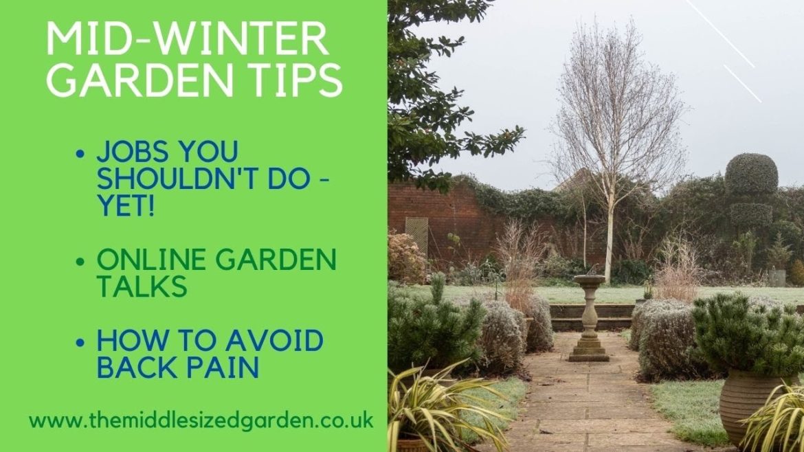 Mid-winter gardening tips & garden tour Mid-winter gardening tips & garden tour