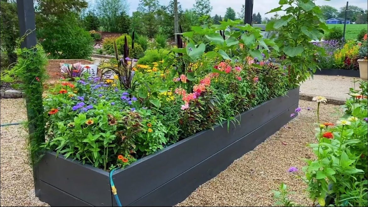 Raised Garden Bed Vlog | Garden Design Tips | Strawberry Patch | Flowers, Fruits & Veggies |Watering