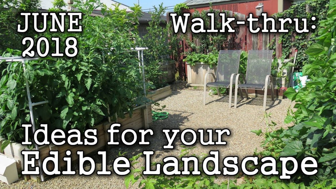 2018 June Urban Garden / Edible Landscaping Tour + Plant & Book Ideas (Albopepper Walk-thru)