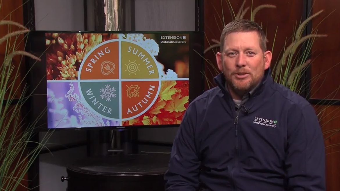 March Gardening Tips March Gardening Tips