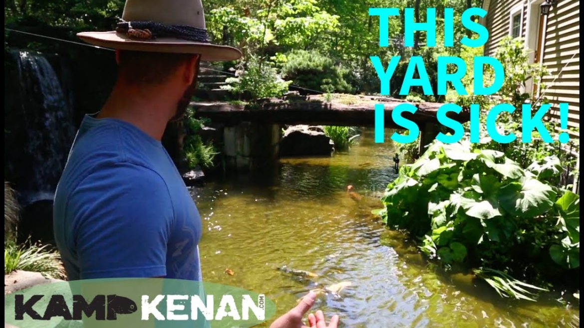 The Ultimate Yard for Animal and Nature Lovers