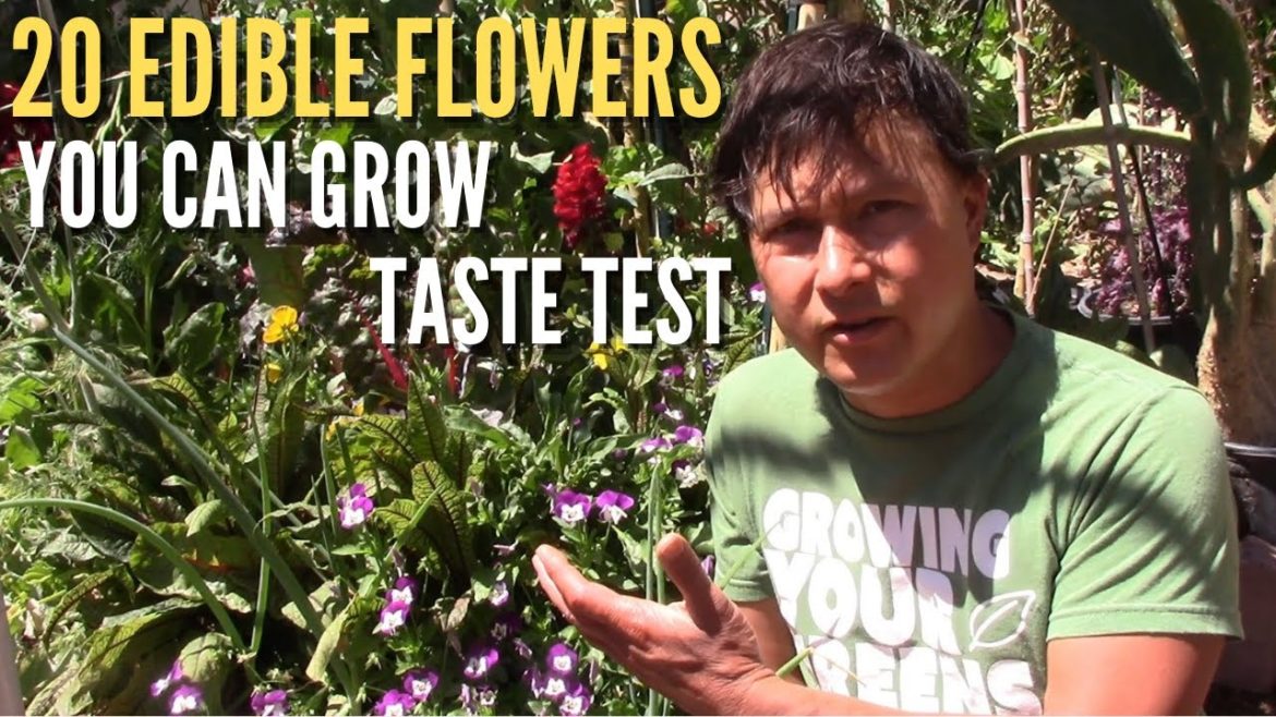 20 Edible Flowers You Can Grow & Eat Taste Test 20 Edible Flowers You Can Grow & Eat Taste Test