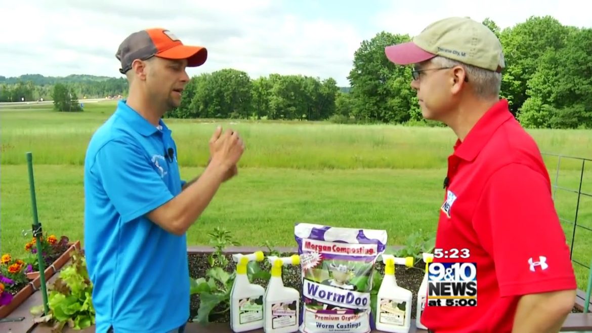 What’s Growing With Tom Popular Gardening Trends