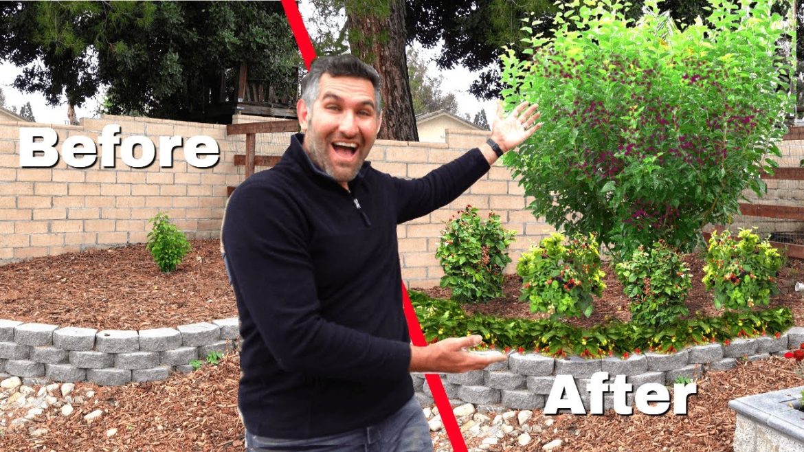 Create an Eye-Catching, EDIBLE, Layered Garden in your Yard! ππ Create an Eye-Catching, EDIBLE, Layered Garden in your Yard! ππ