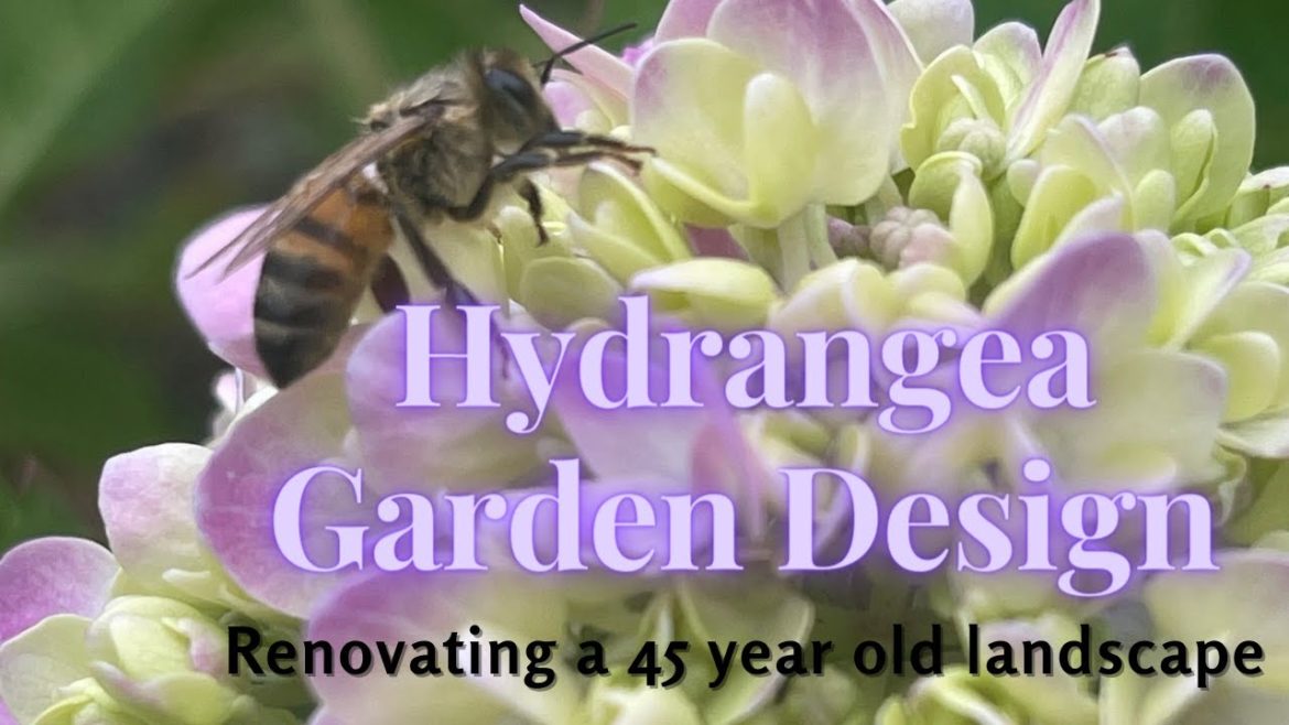 Hydrangea garden design